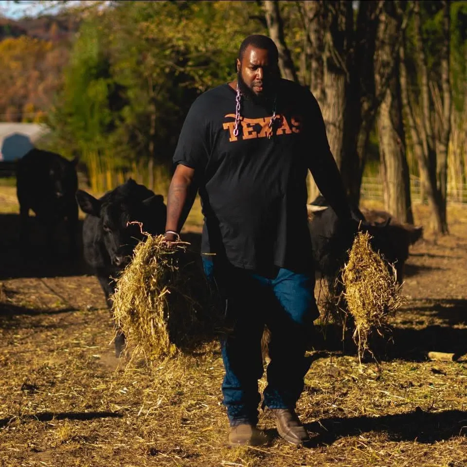 Grady “Grizz” Brown carrying armfuls of hay across the pasture with black cattle following behind him